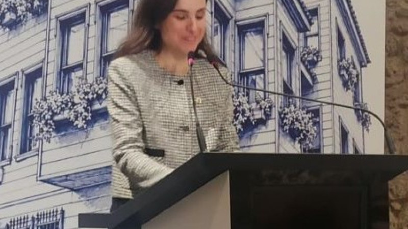 Mimarlar Meclisinin Kuruluşu Tarihi Binada İlan Edildi