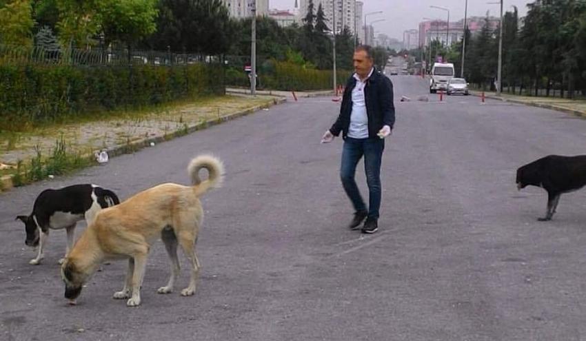 Kim bu cani/caniler?